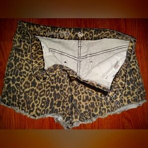 Rocker So brand Leopard printed fringe shorts